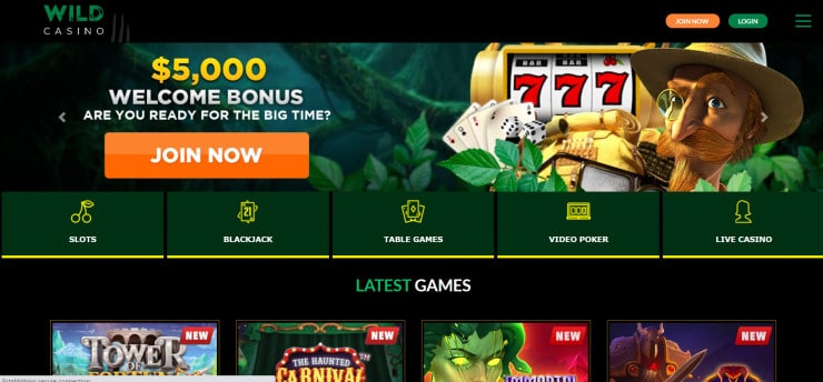 Wild Online Casino in Maryland