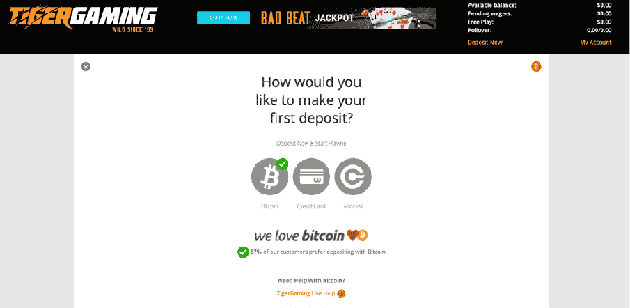 Tiger Gaming Casino - Make Deposit Page