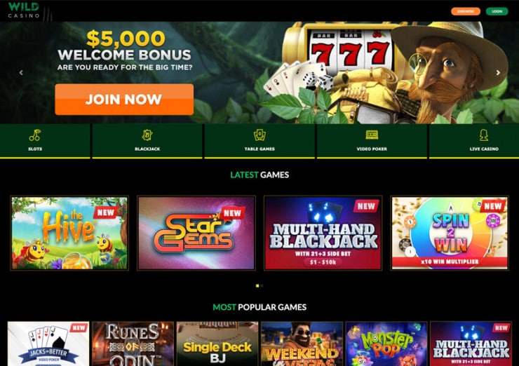 wild casino homepage