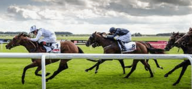 horse race