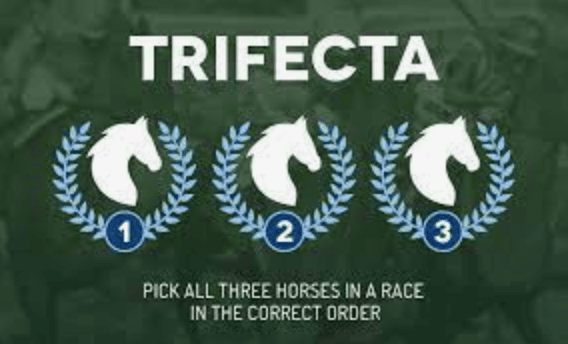 trifecta bet