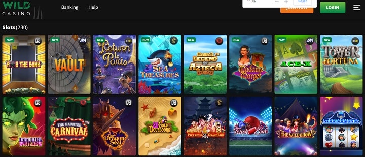 Wild Curacao Casino Slots