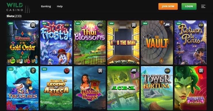 Wild Casino Tablet Slots