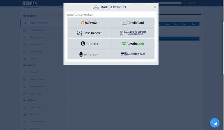 BetUS Deposit Options