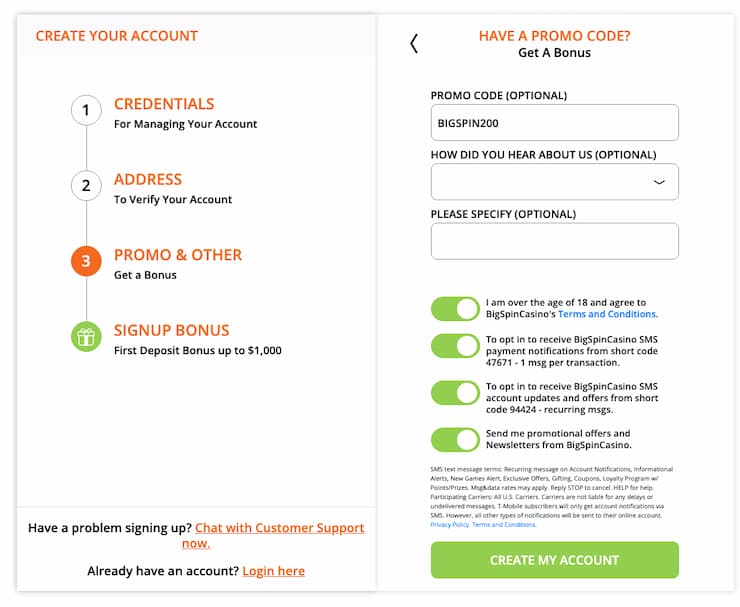 Big spin casino bonus codes redeem form