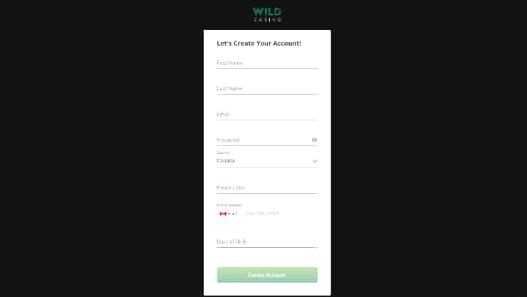 MasterCard Online Casinos - Enter Info
