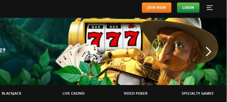 Wild Casino homepage