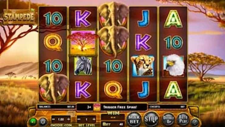 Stampede slot gameplay