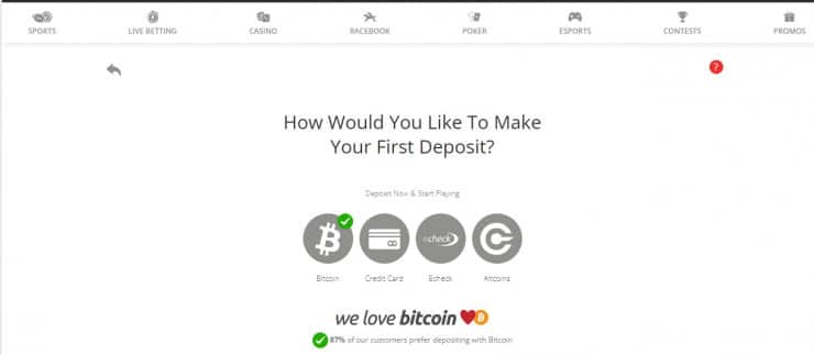 BetOnline deposit screen