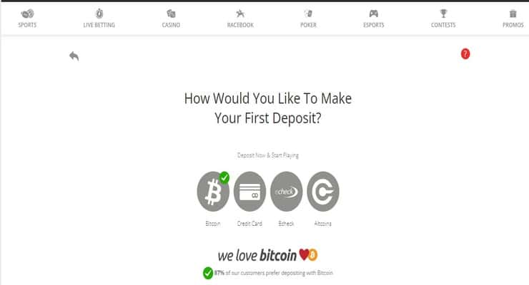 BetOnline Deposit Page