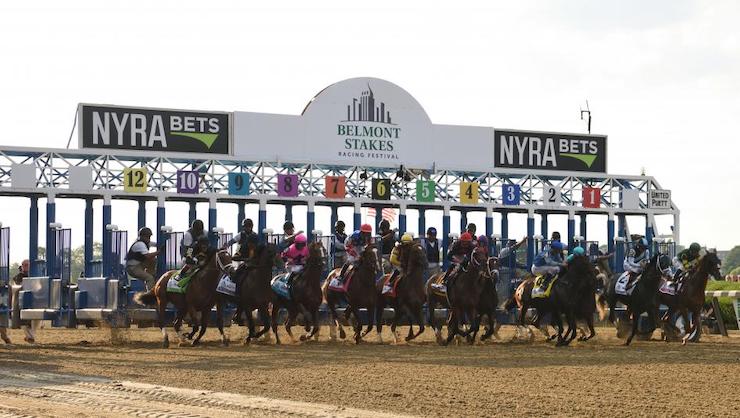Belmont Stakes betting terms