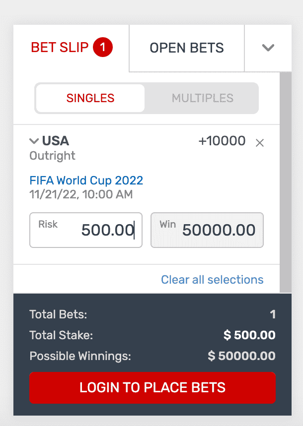 Bovada World Cup Betslip