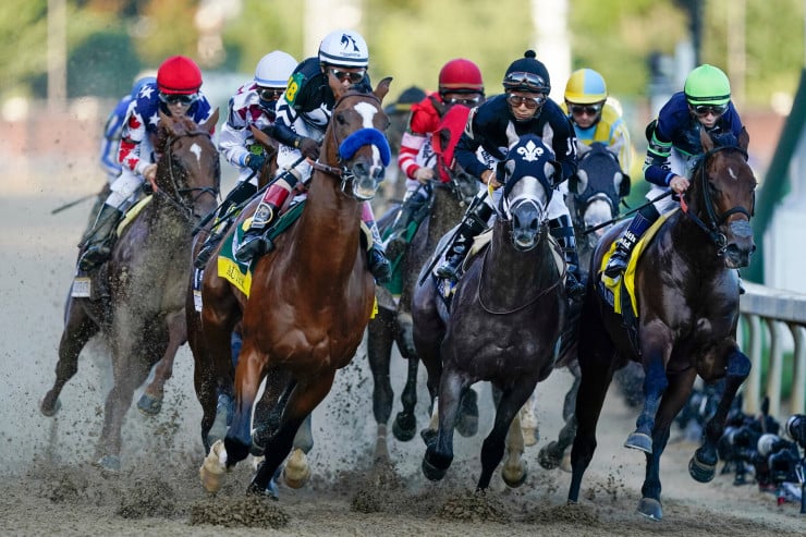 Preakness Stakes picks