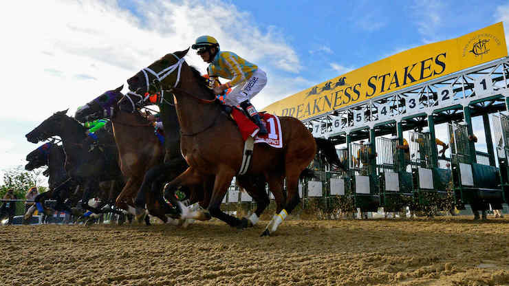 Preakness Stakes Betting