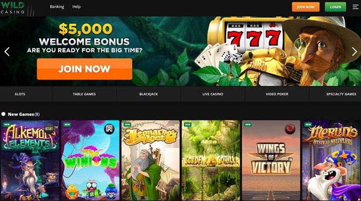 Wild Casino Download Homepage