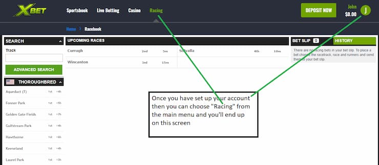 Using Xbet racebook