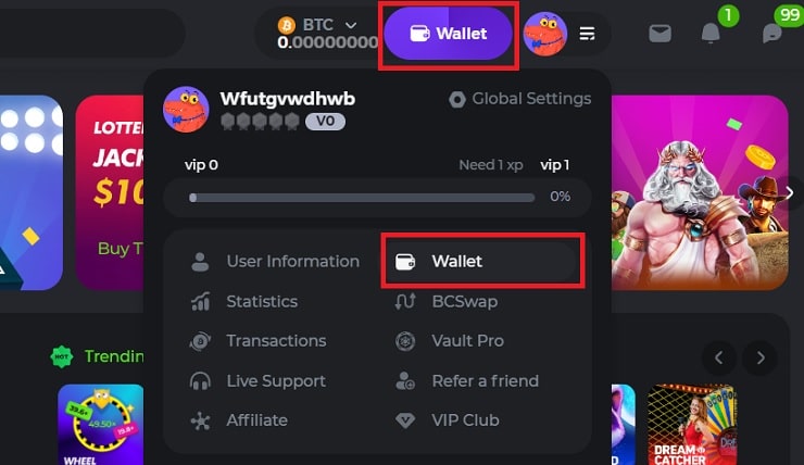 BC.Game Wallet