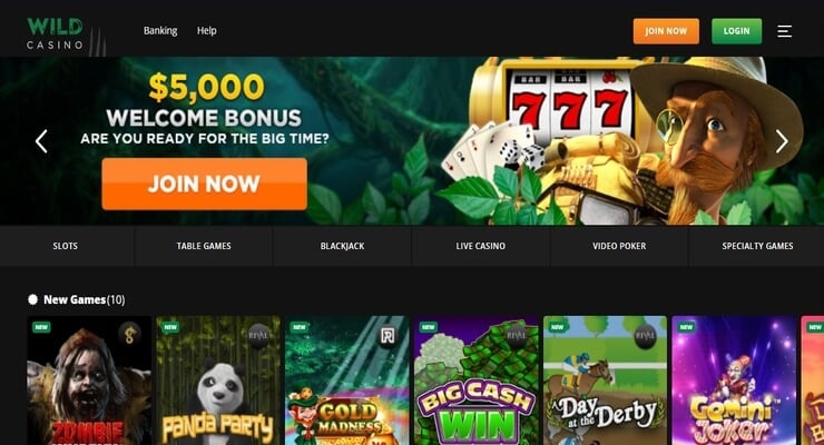 Wild Casino homepage