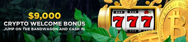 Wild Casino $9,000 Bonus