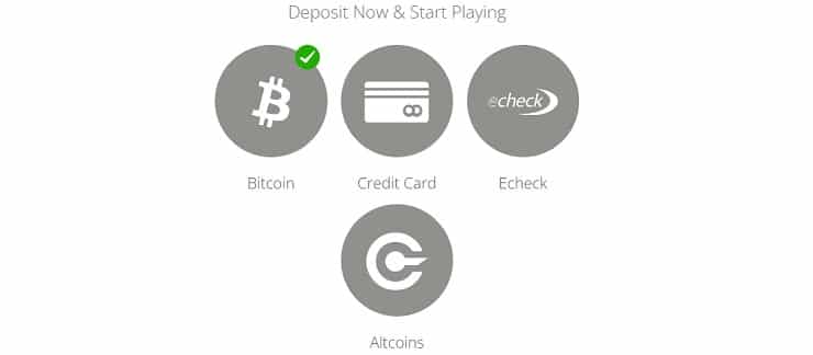Wild Curacao Casino Deposit Options