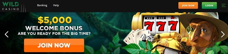 Wild Casino Join Now
