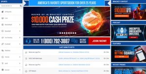 BetUS – Easy to Use App for Betting on Cricket