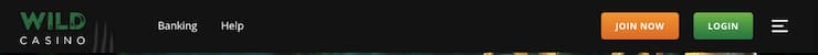 Wild Casino log in