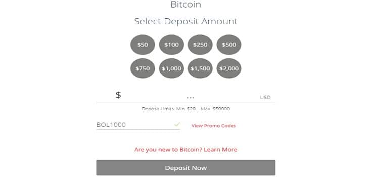 BetOnline Step 4