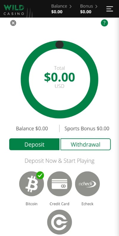 Wild Casino Step 3