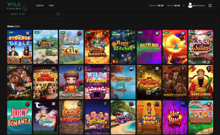 Register at Wild Casino Step 4