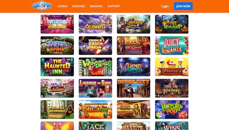 Big Spin Casino Game Variety