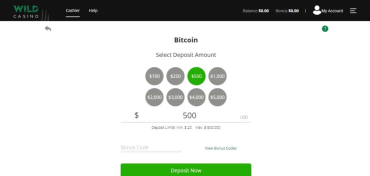Wild Casino section to enter 100% deposit bonus code