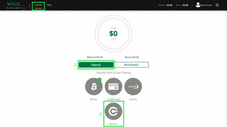 Cardano step 5