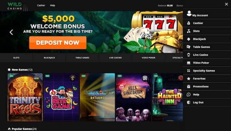 Wild Casino Game Selection