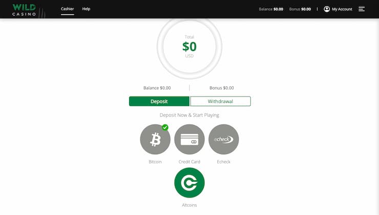 Wild Casino Deposit Page