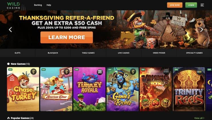 Wild Casino Decentralised Casino