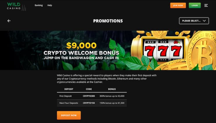 Wild Casino Deposit Bonus