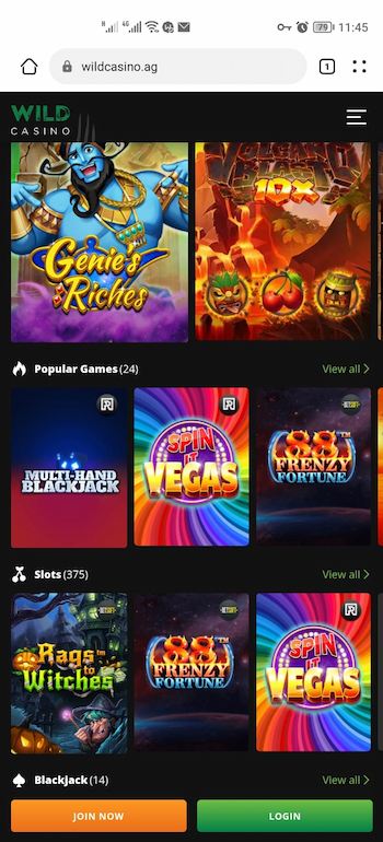 wild casino home