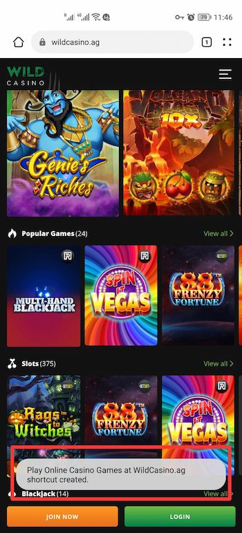 wild casino 2