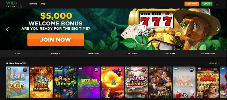 Wild Casino Step 6