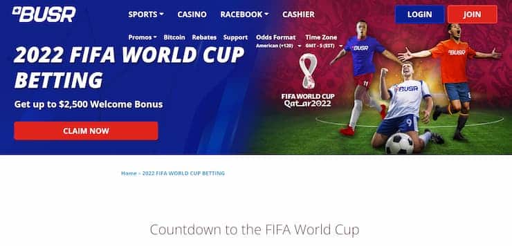 World cup 2022 bets sites