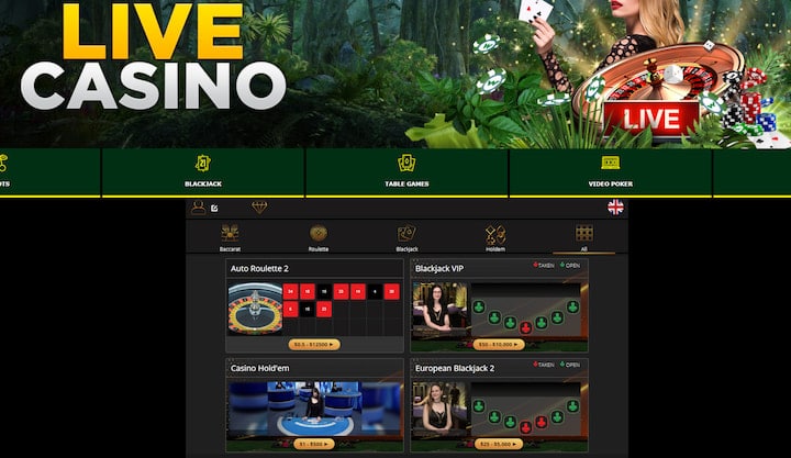 wild-casino-live-casino baccarat