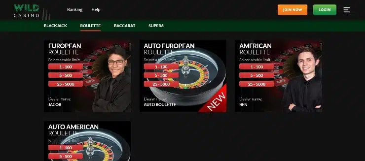 Wild Casino Roulette