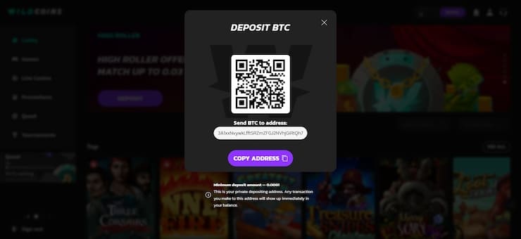 Claim a Wildcoins Promotional Code_Step 4