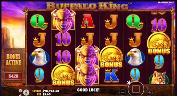 Buffalo King