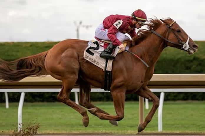 Disarm has value Preakness Stakes odds after an unlucky run last time out