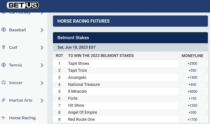 belmont stakes odds table at BetUS