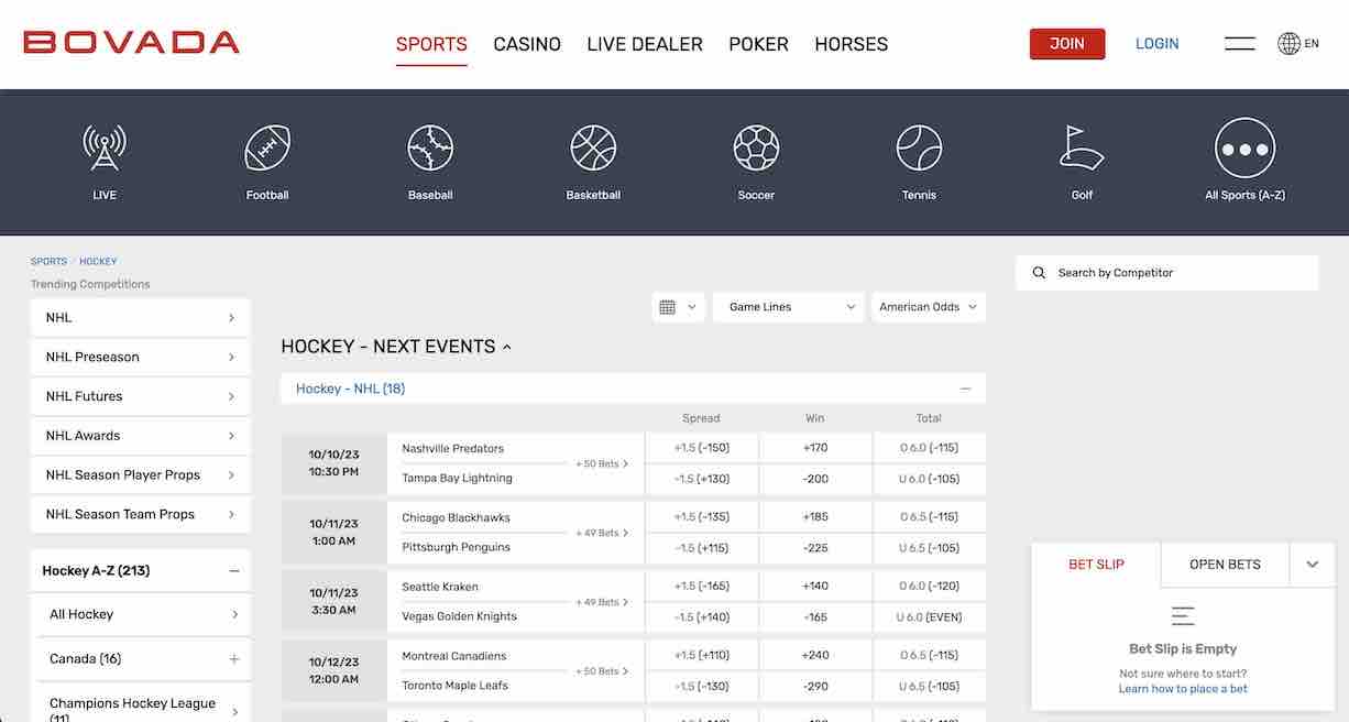 A screenshot of the Hockey markets at Bovada sportsbook