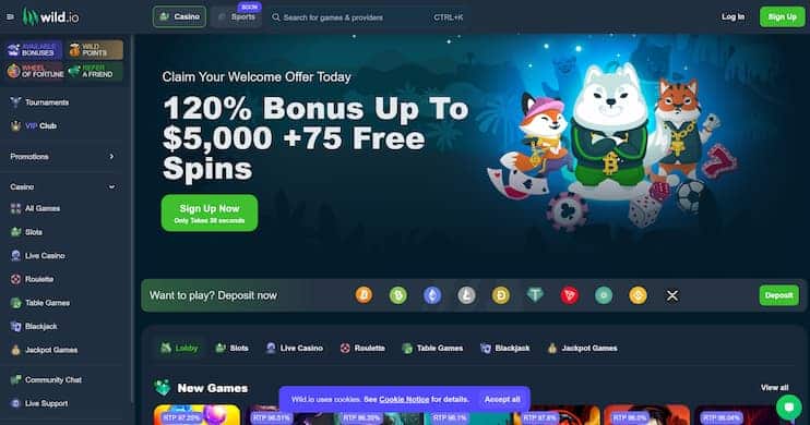 Wild.io Casino