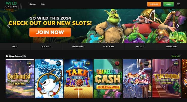 Wild Casino homepage - The best online roulette casinos 